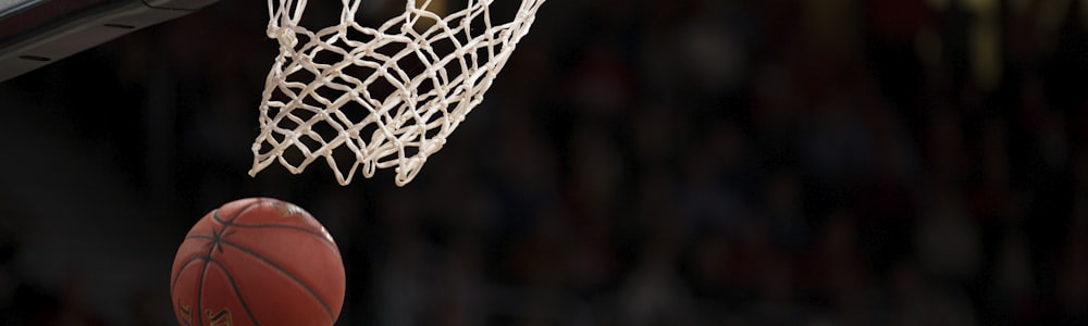 专业体育场馆设备，如篮球架和草坪维护系统